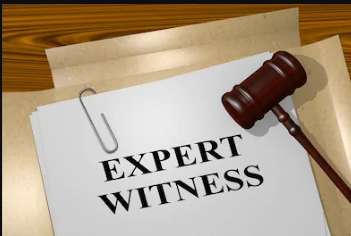 Expert Witness Service